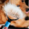 Imagen de referencia para cepillo para mascotas azul