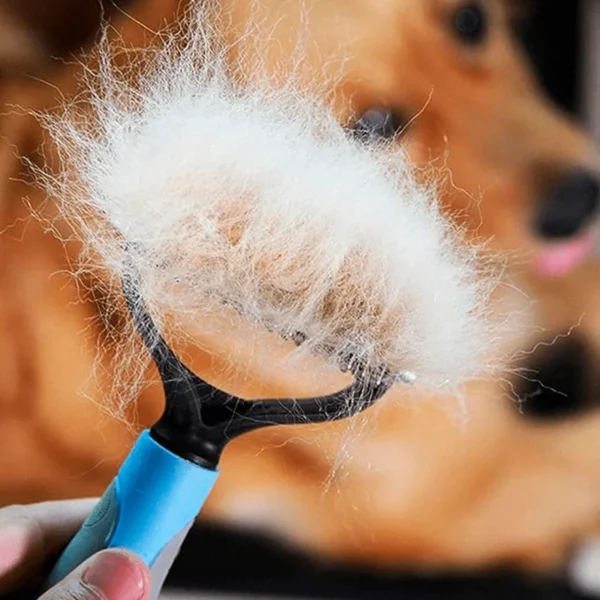 Imagen de referencia para cepillo para mascotas azul